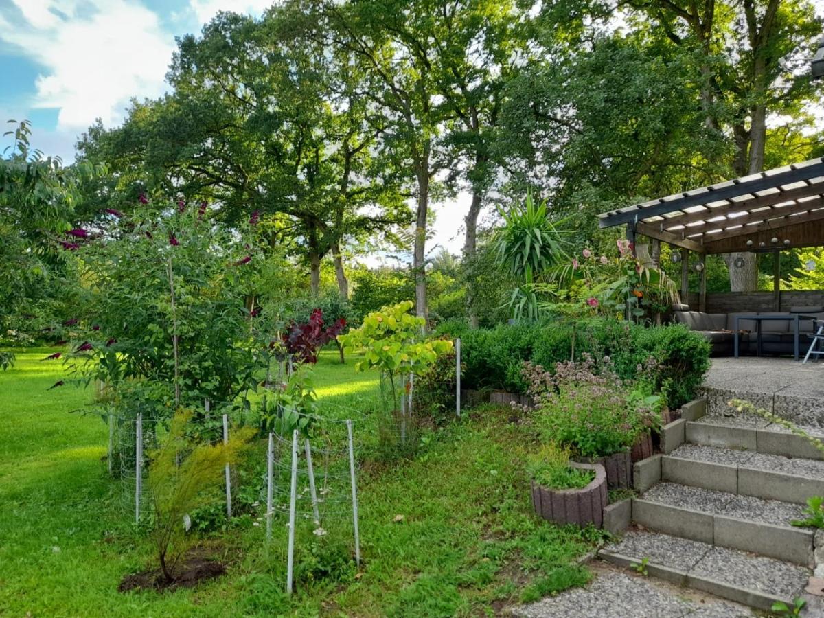 Haus Wald Und Wiese Wohnung Wiese Ehndorf ภายนอก รูปภาพ