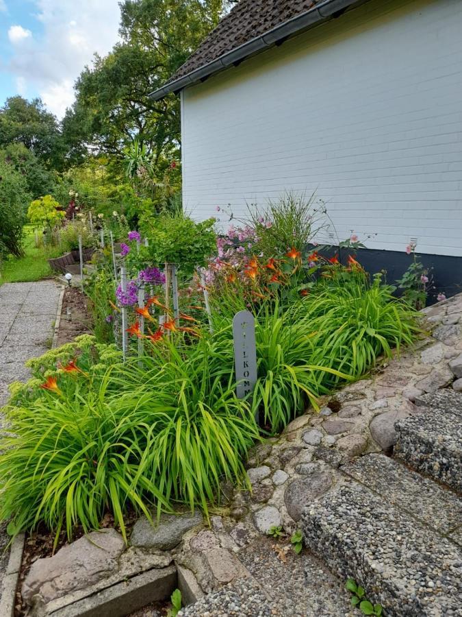 Haus Wald Und Wiese Wohnung Wiese Ehndorf ภายนอก รูปภาพ
